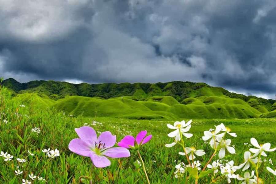 নাগাল্যান্ড-মণিপুর সীমান্তবর্তীজ়ুকু ভ্যালি।