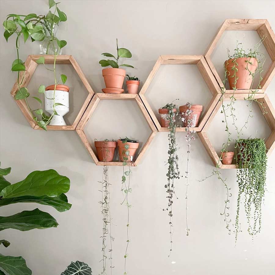 প্রত্যেকটি তাকে একটি বা ছোট হলে দু’টি টব রেখে সাজাতে পারেন।