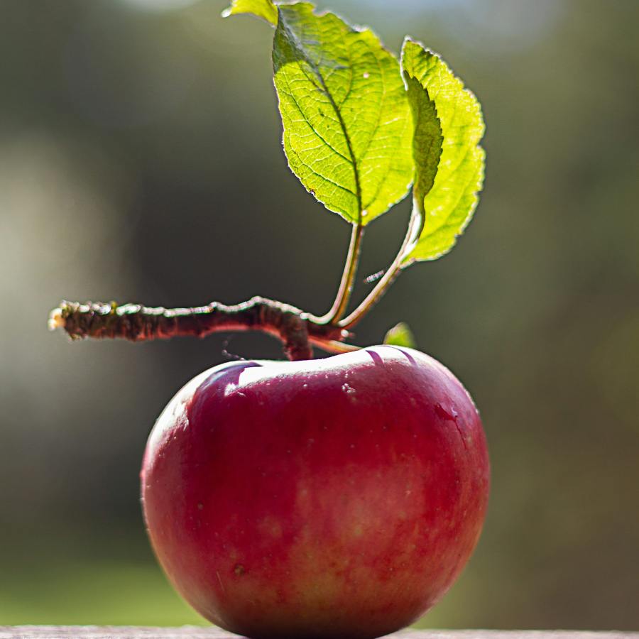 3 DIY Face pack with Apple  dgtl