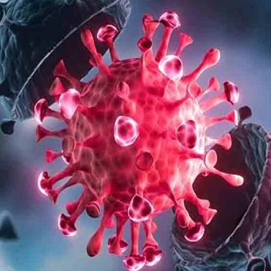 India reports four more COVID-19 deaths