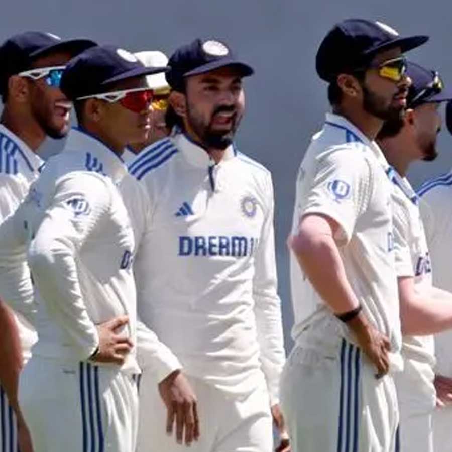 picture of cricket