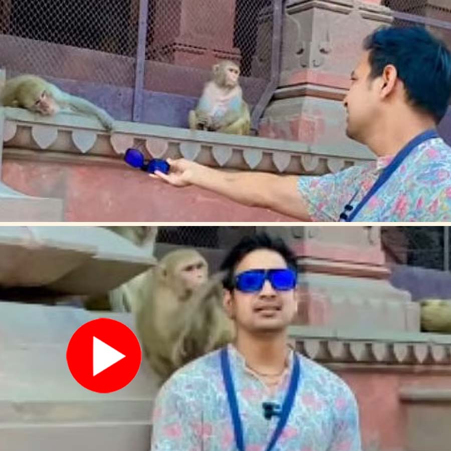 A man in vrindavan offers a monkey his sunglass but gets rejected, later the monkey came and snatched it from him, funny video goes viral dgtl