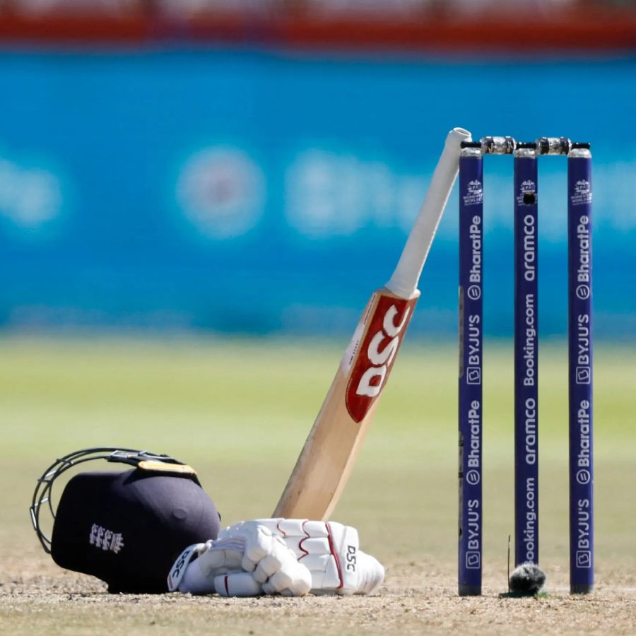 picture of cricket
