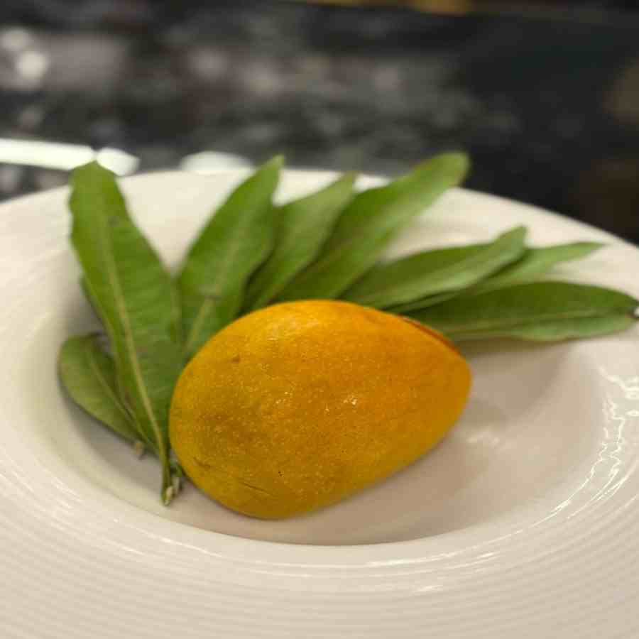 ম্যাঙ্গো মুজ়। 