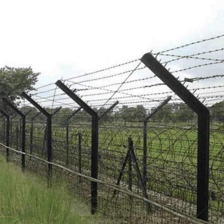 Many people do not want to go to Char Meghna's in-laws' house on Jamaisasthi amid border tension dgtld