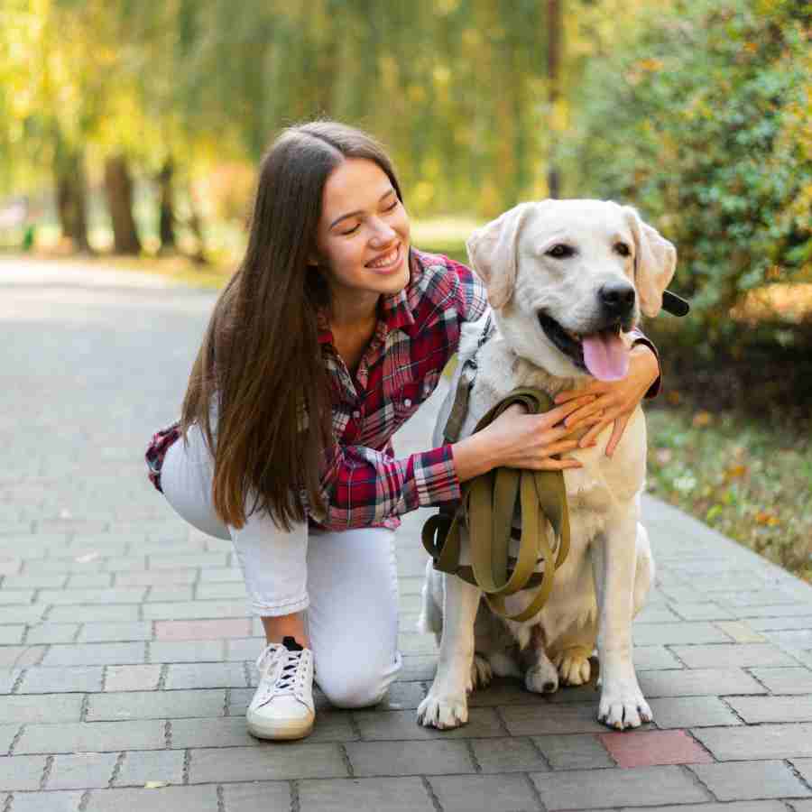 Early signs and symptoms of diabetes in dogs every pet owner must watch for