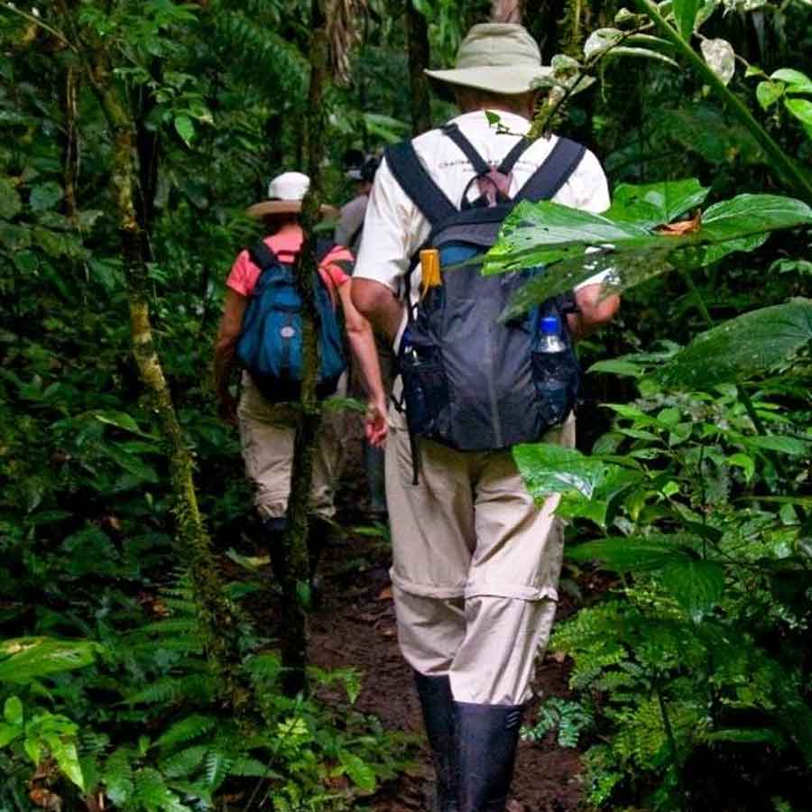 Know your traits through your birth number with the help of numerology