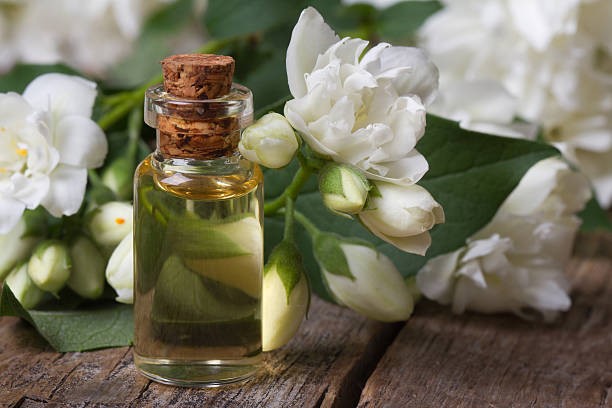 How to make Jasmin oil for hair growth at home by using fresh flower dgtl