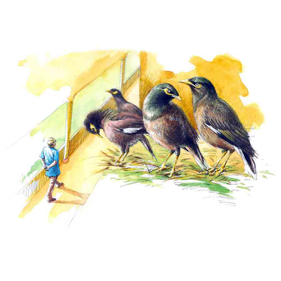 Bengali Short Story authored by Rajdeep Bhattacharya