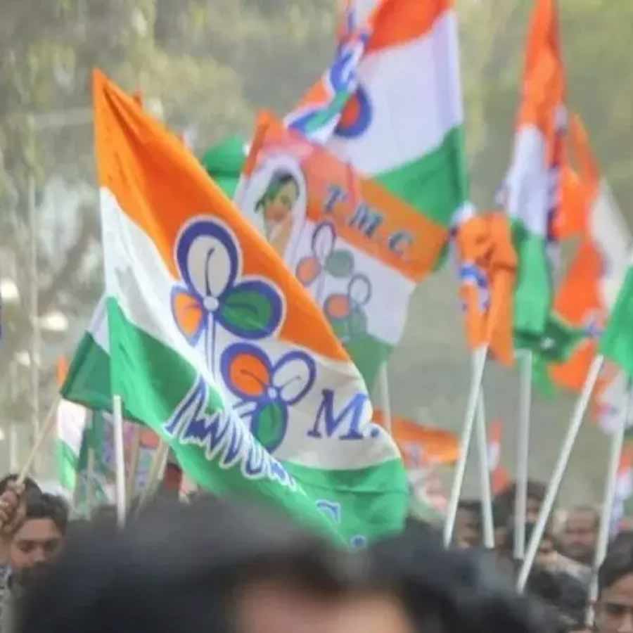 TMC protested demanding payment of dues