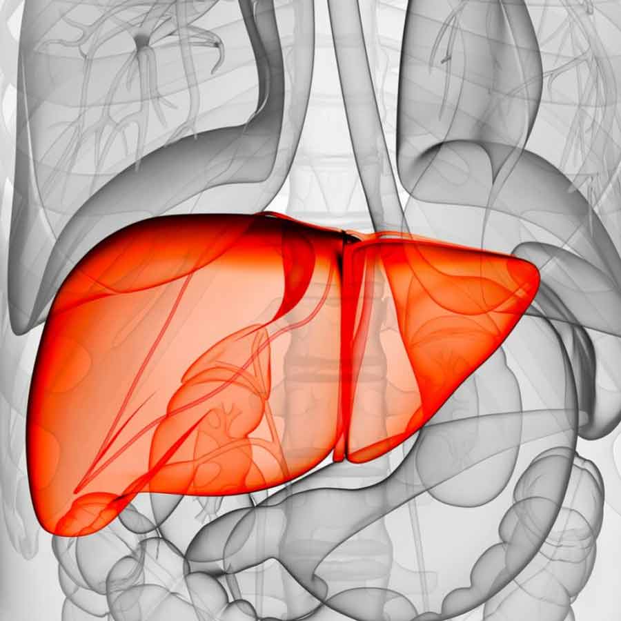 Including these three drinks in your diet may help reverse fatty liver