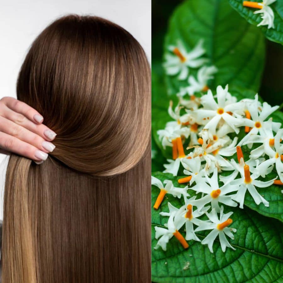 How to use Shiuli Flower to combat hair damage dgtl