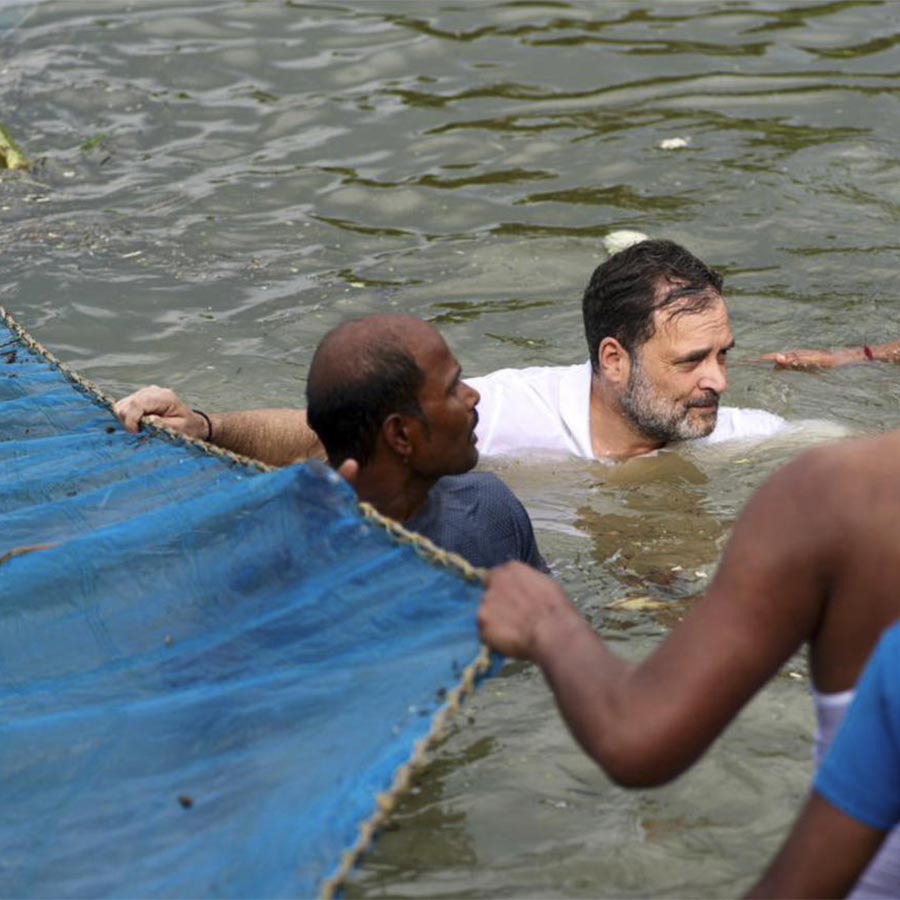 Rahul Gandhi jumps into muddy pond, interacts with fishermen in poll-bound Bihar dgtl