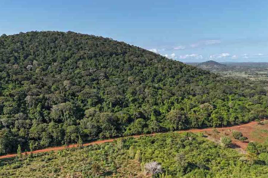 Why Kenya’s Mrima hill and forest suddenly becomes focal point of global interest