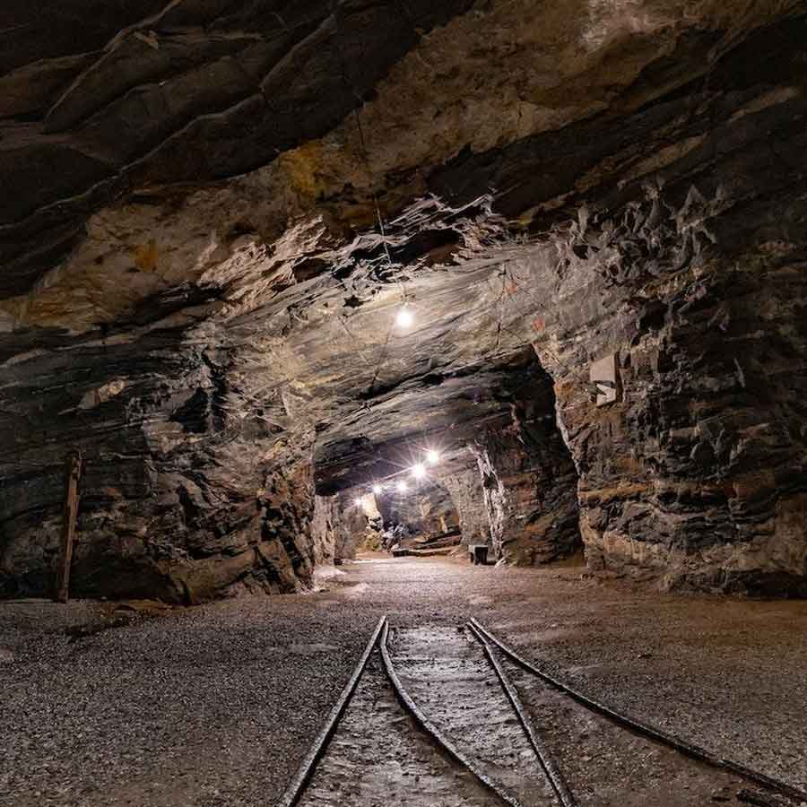 Why Kenya’s Mrima hill and forest suddenly becomes focal point of global interest