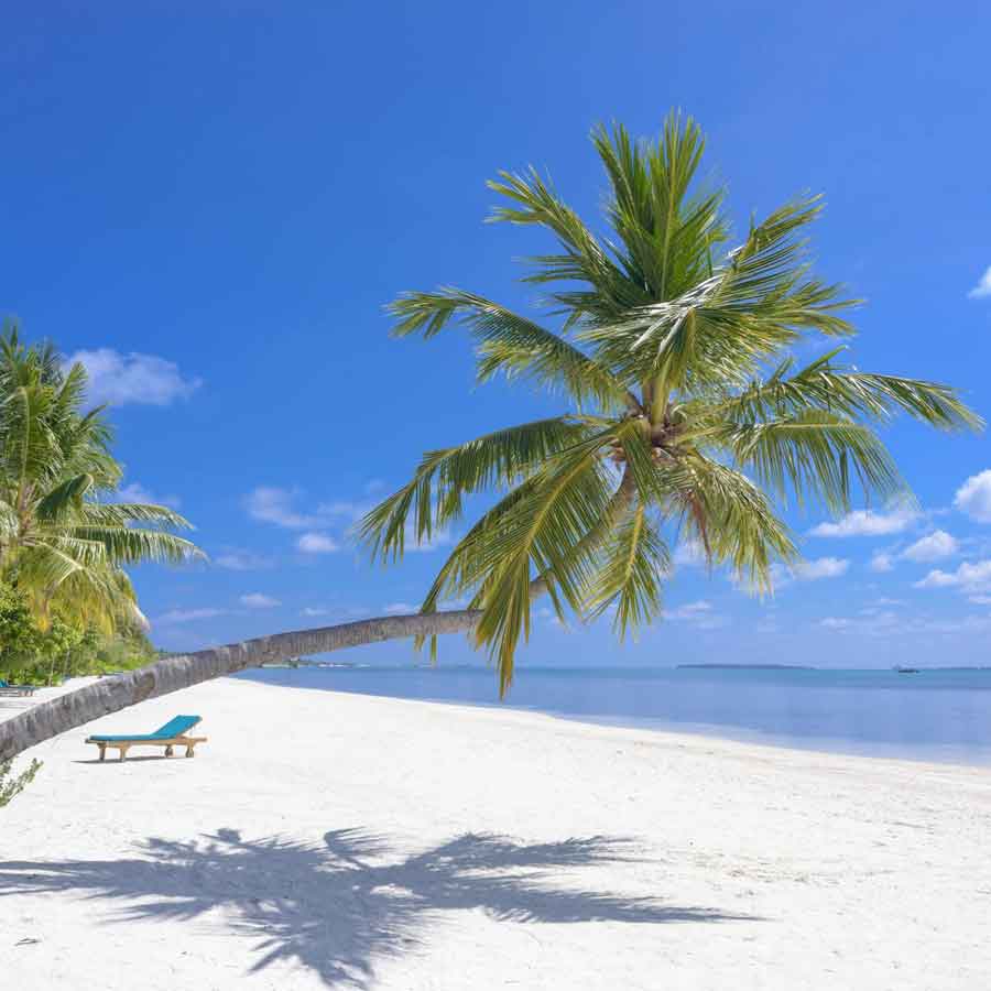 Why Kenya’s Mrima hill and forest suddenly becomes focal point of global interest