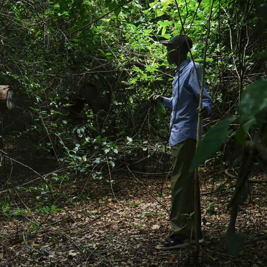Why Kenya’s Mrima hill and forest suddenly becomes focal point of global interest