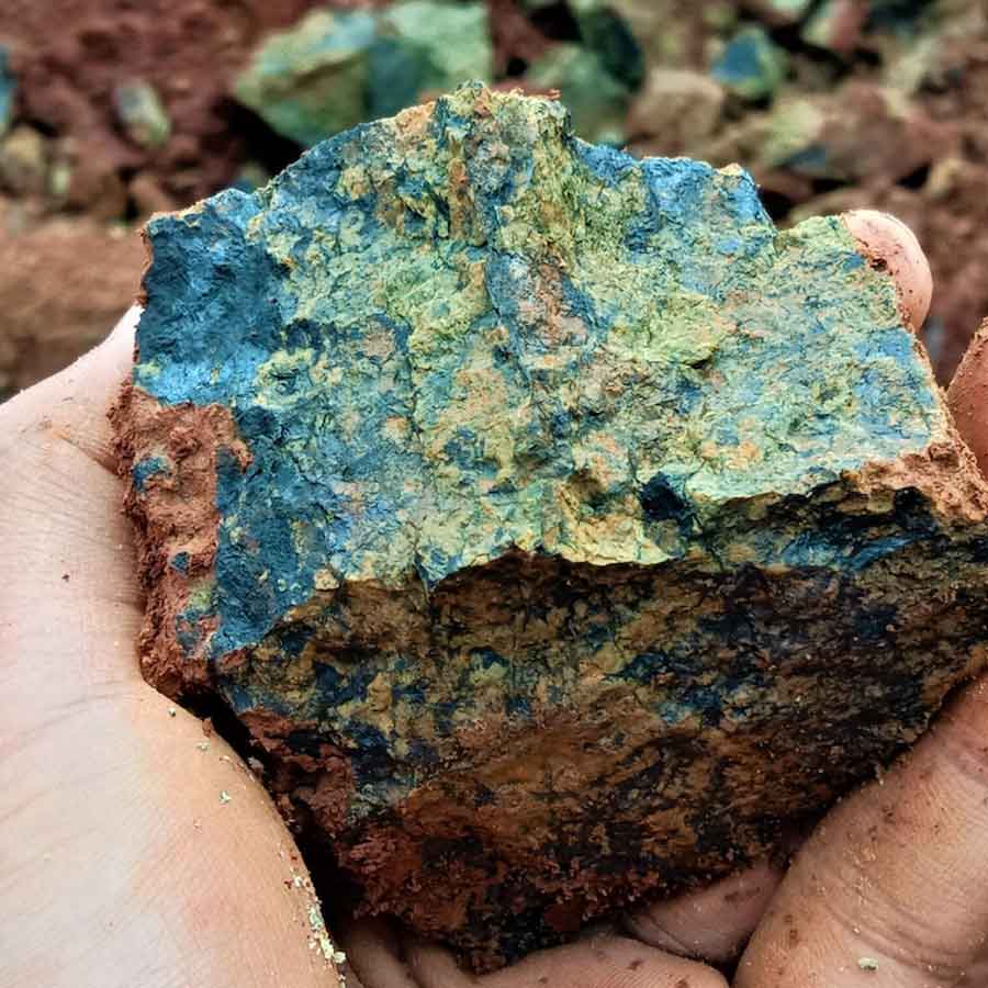 Why Kenya’s Mrima hill and forest suddenly becomes focal point of global interest