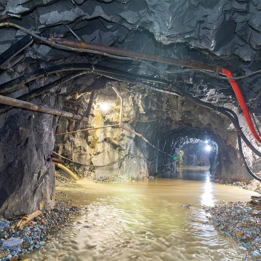 Why Kenya’s Mrima hill and forest suddenly becomes focal point of global interest