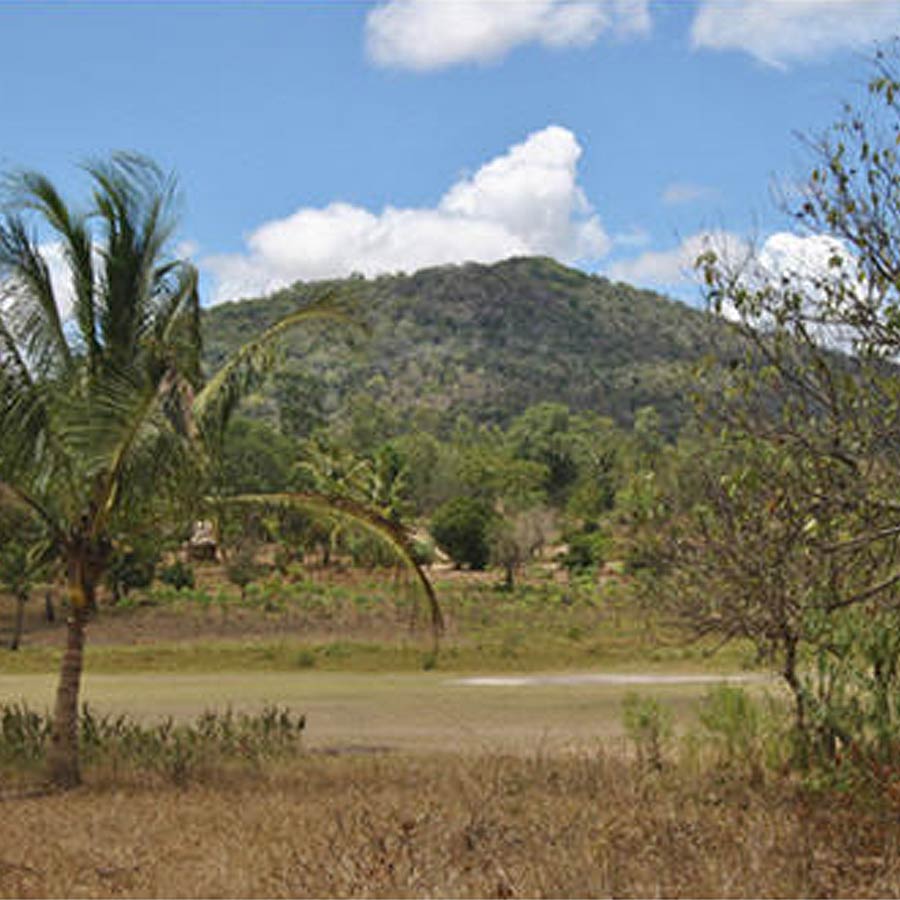 Why Kenya’s Mrima hill and forest suddenly becomes focal point of global interest