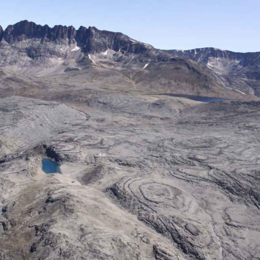 Why Kenya’s Mrima hill and forest suddenly becomes focal point of global interest