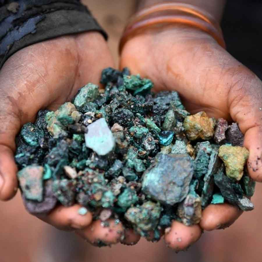 Why Kenya’s Mrima hill and forest suddenly becomes focal point of global interest