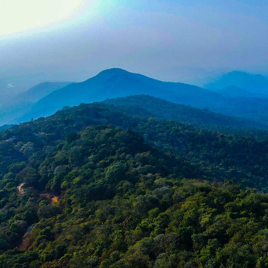 Why Kenya’s Mrima hill and forest suddenly becomes focal point of global interest