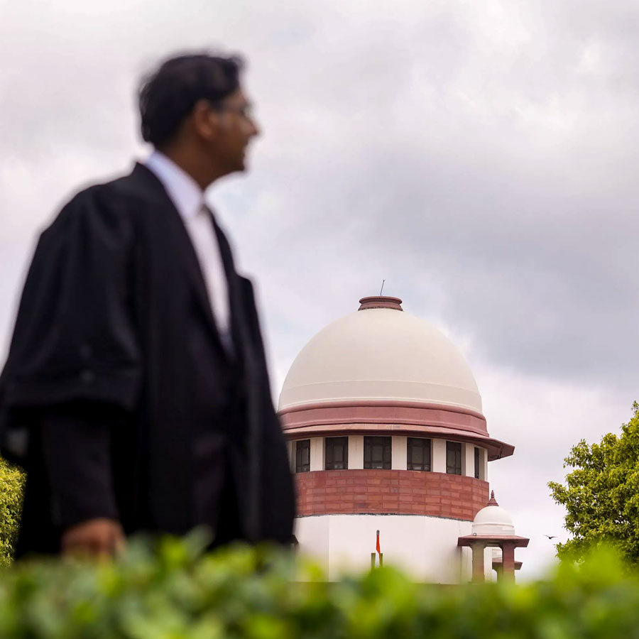 Supreme Court to pass order in stray dogs case on Nov 7 dgtl