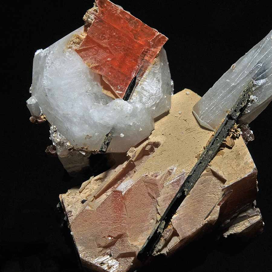 In US President Donald Trump lost tariff war with China due to rare earth minerals 