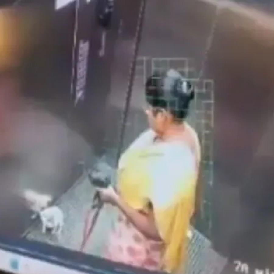 Domestic worker slams pet dog to death inside lift in Bengaluru dgtl