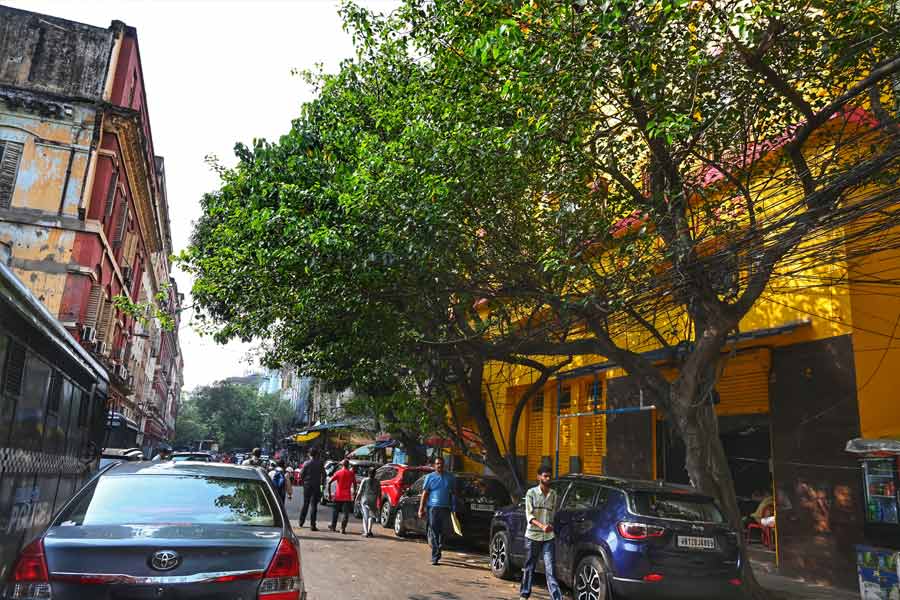 Calcutta Stock Exchange
