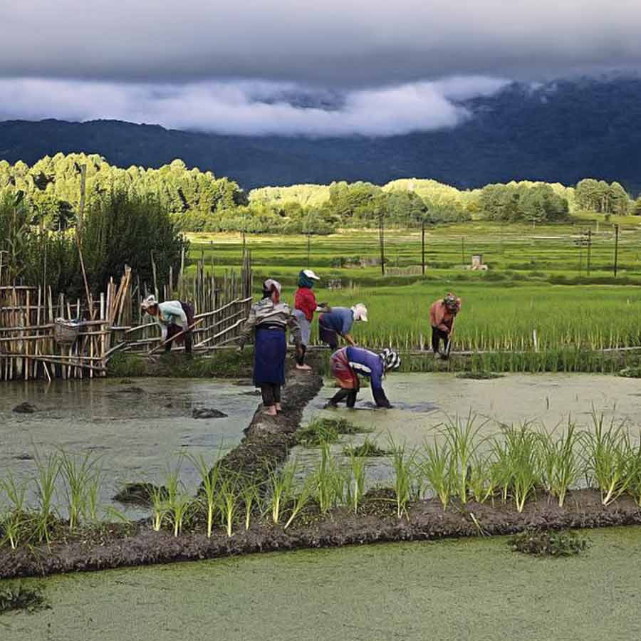 Apatani Women of Arunachal Pradesh