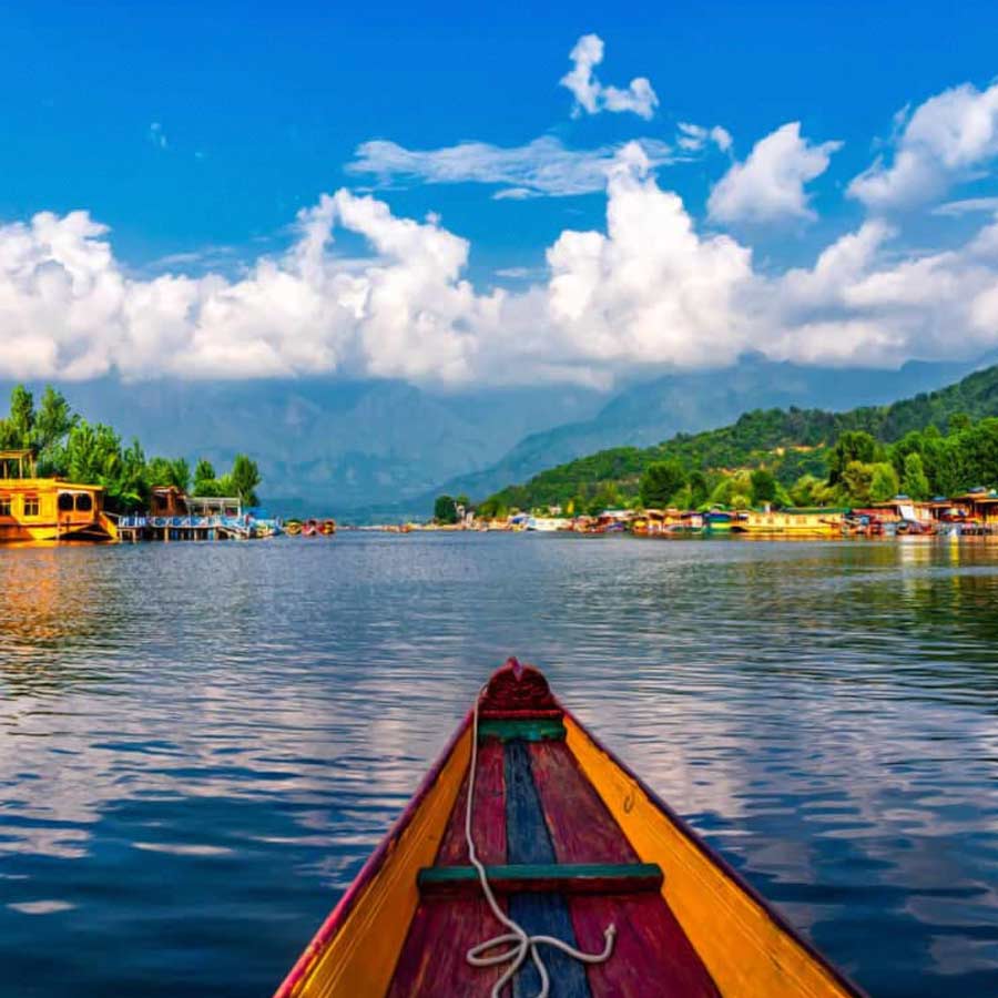  একটি-দুটি ছাড়া বাকি সব শিকারা যেন ক্ষুধিত পাষাণ!