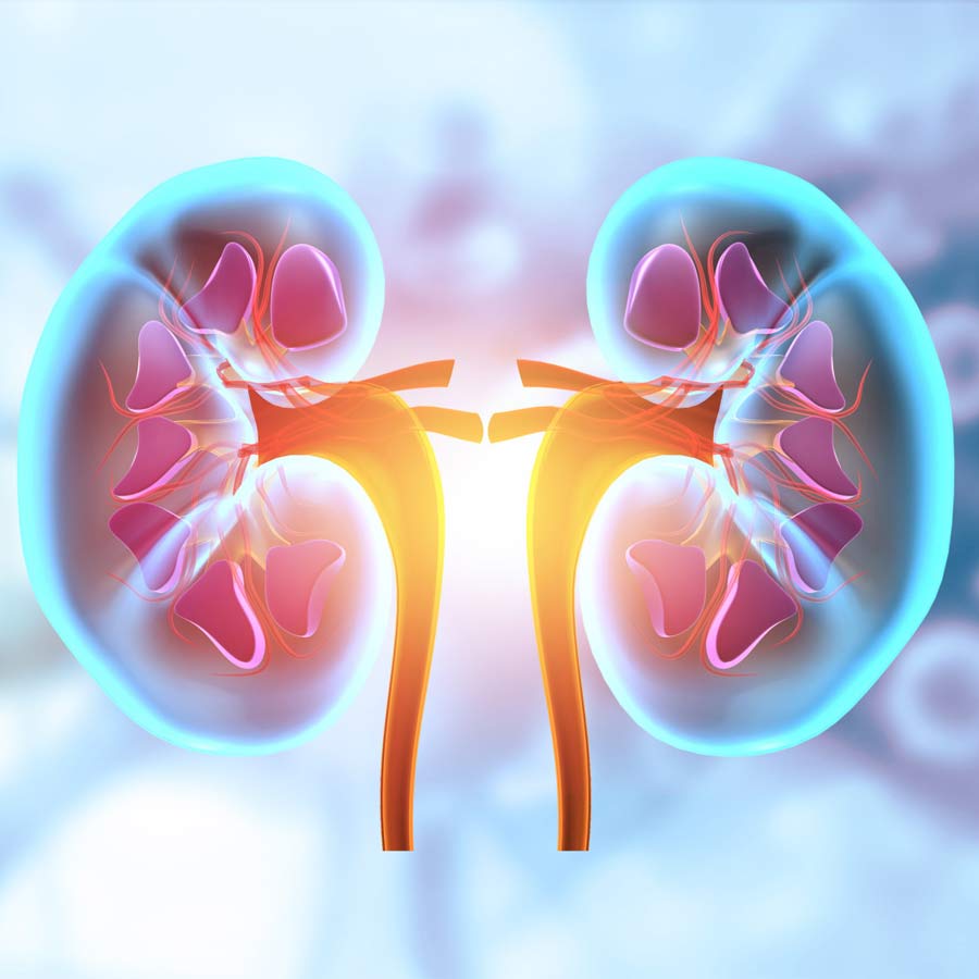Identify these 5 signs to detect kidney problems