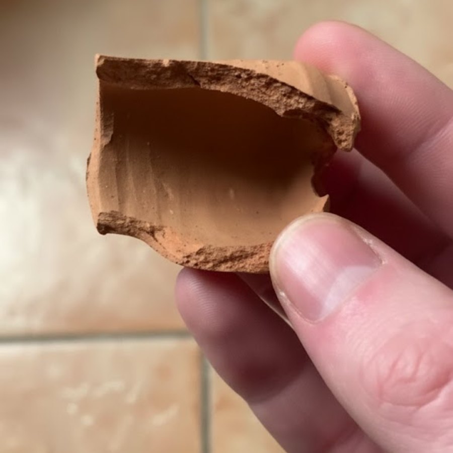 A Disease that makes you eat what should not be eaten at all dgtl