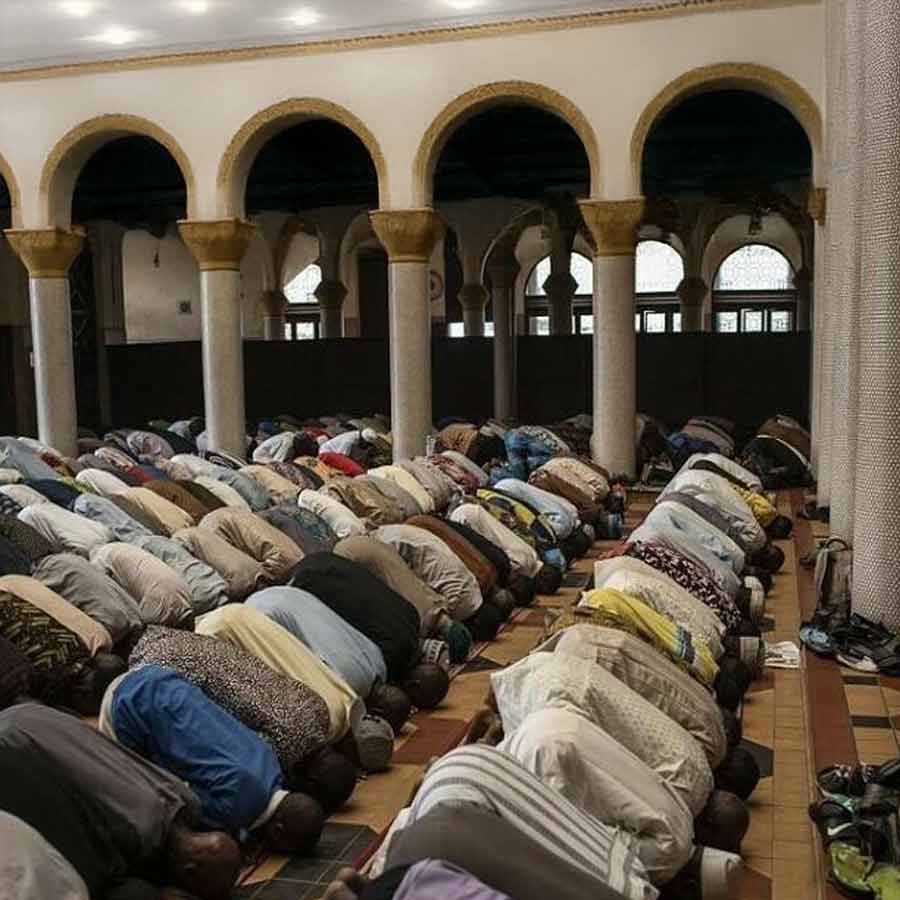 Why US President Donald Trump orders Pentagon to plan military action in Nigeria