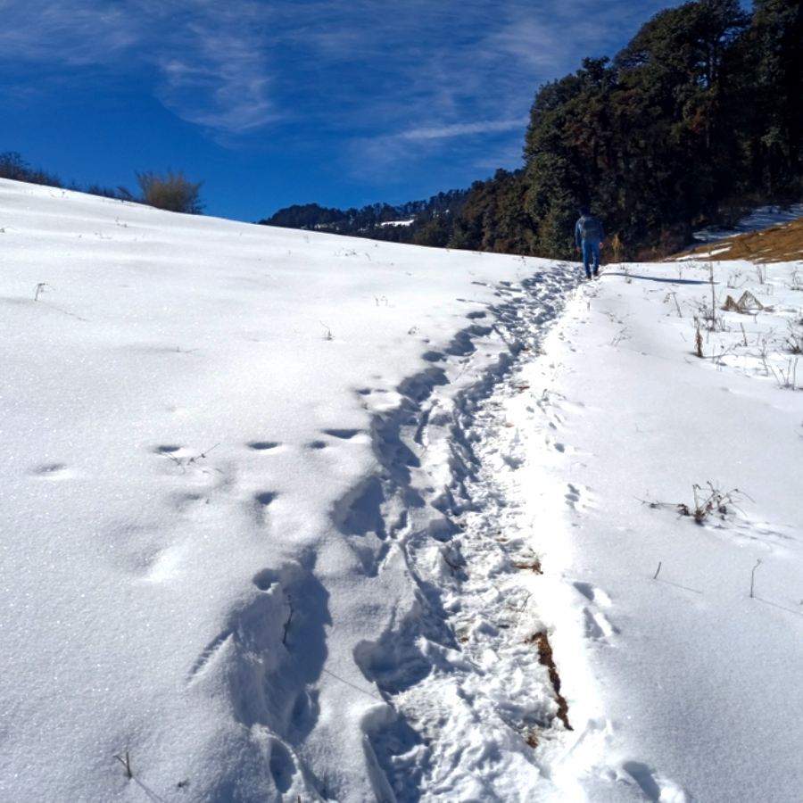 Must Try 3 Winter Treks in India to Enjoy Snow dgtl