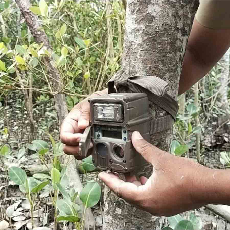 Preparation started at Sindarbans to participate in All India Tiger census programme