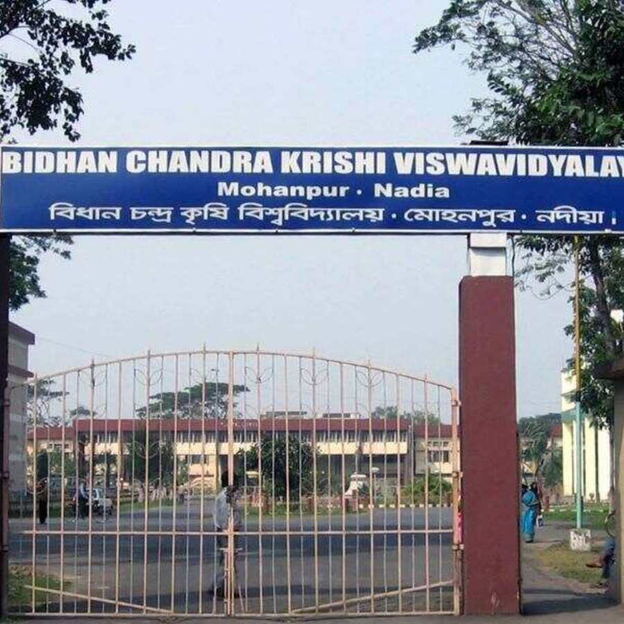 বিধানচন্দ্র কৃষি বিশ্ববিদ্যালয়।