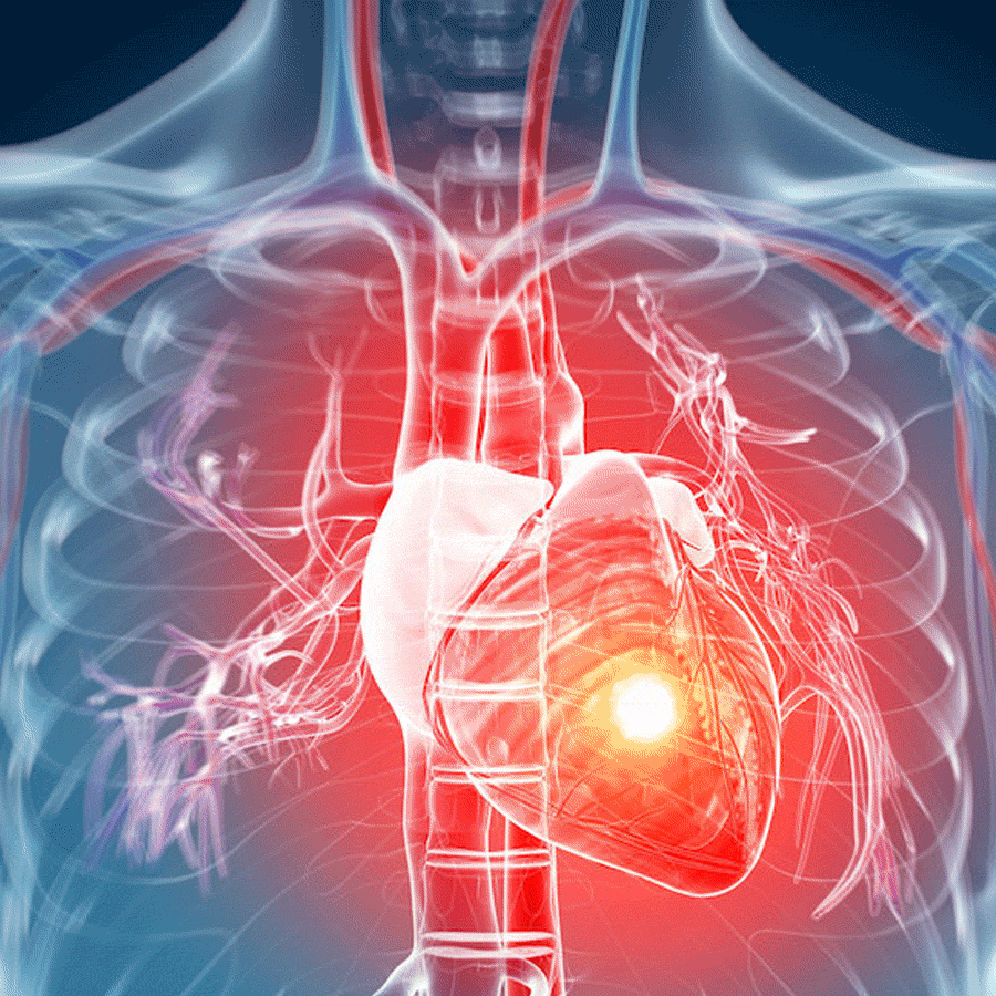 Rus pornosi: HD 720p dagi mushuk