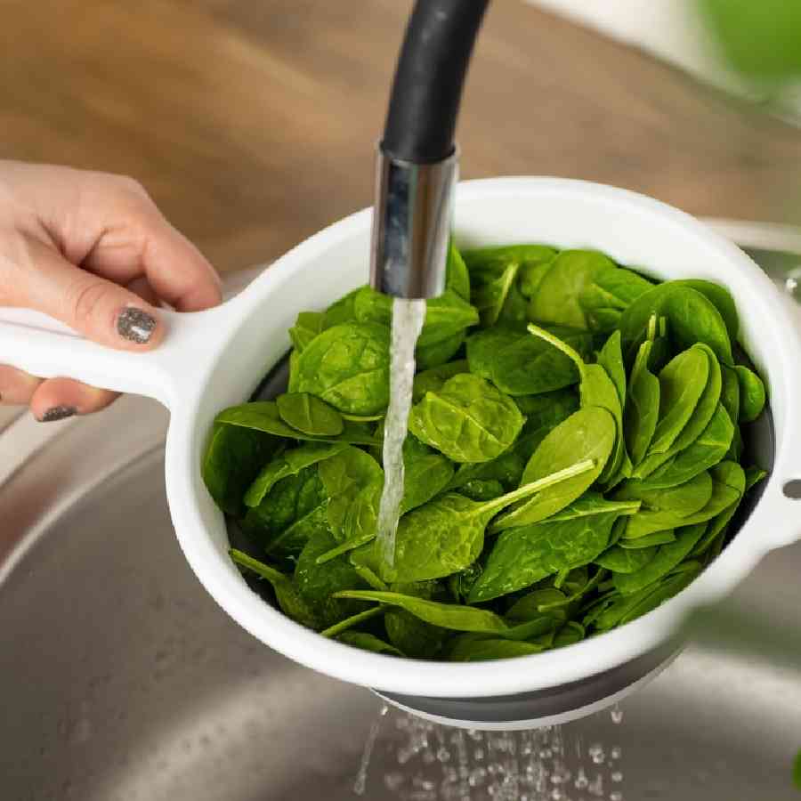 Tips to keep spinach fresh for long time dgtl