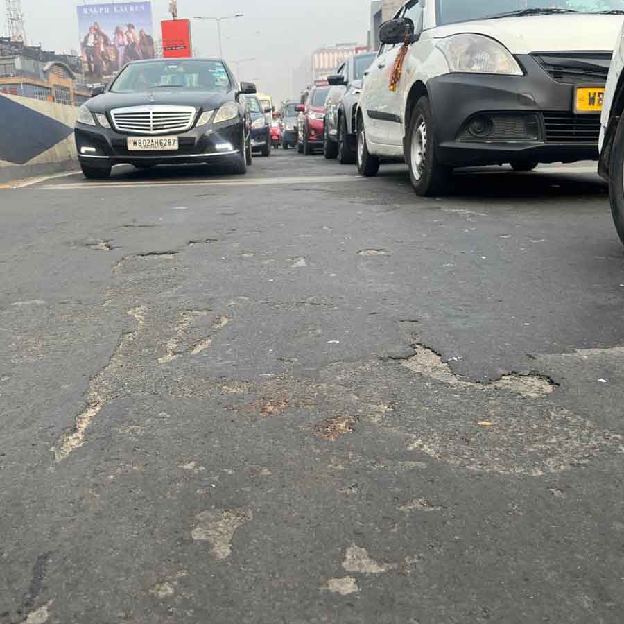 উড়ালপুলের মাঝে রাস্তায় ছোট ছোট গর্ত।