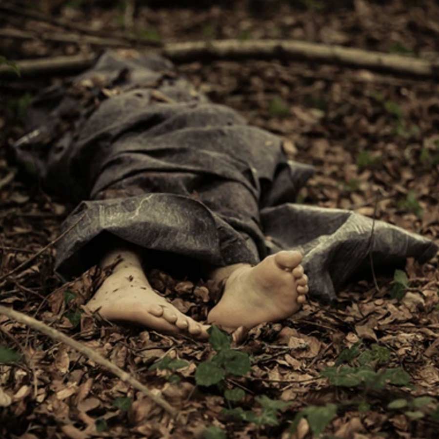 বয়েডকে শাস্তি দিতে তাঁর পেট চিরে দেওয়া হয়েছিল। শরীর থেকে নাড়িভুঁড়ি বার করে তা একটি গাছের সঙ্গে বেঁধে দেওয়া হয়েছিল। বয়েডের মুখ ছুরি দিয়ে ফালা ফালা করে তাঁর জিভ কেটে ফেলা হয়েছিল। এমনকি, তাঁর দুই কান কেটে গাছের তলায় ফেলে দেওয়া হয়েছিল বয়েডের মৃতদেহ।