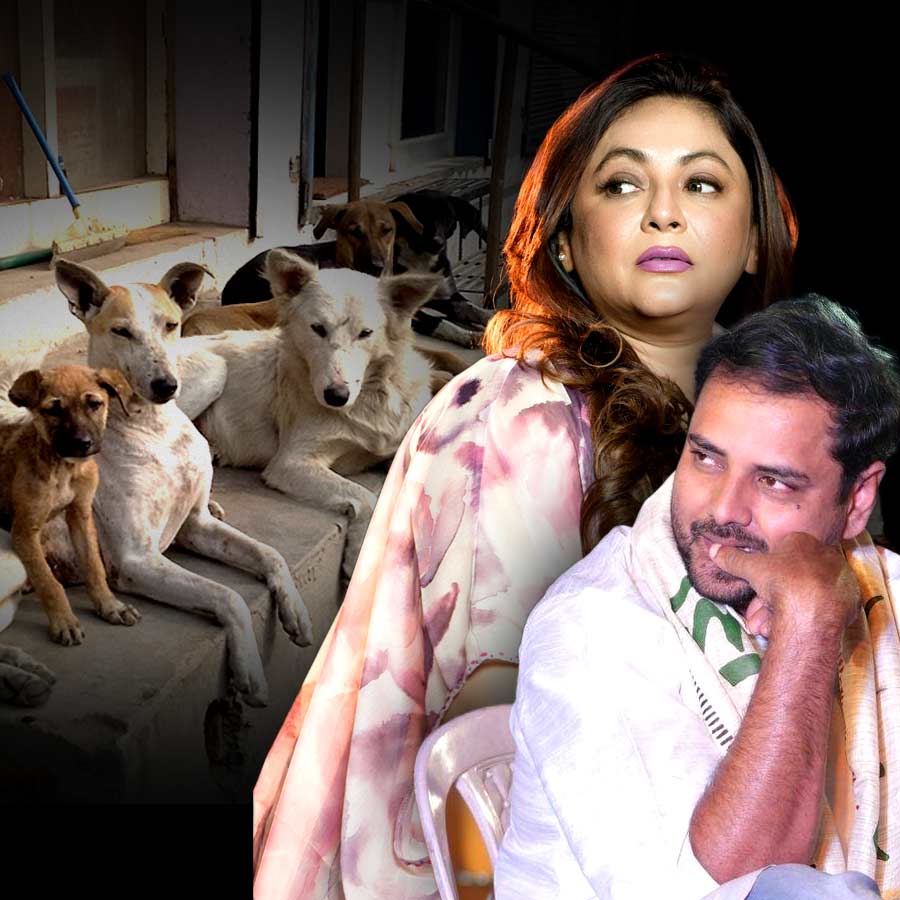 Tathagata Mukherjee And Sreelekha Mitra Speak On supreme court’s new order that-remove-stray-dogs-from-near-schools-hospitals-and-shift-them-to-shelters dgtl