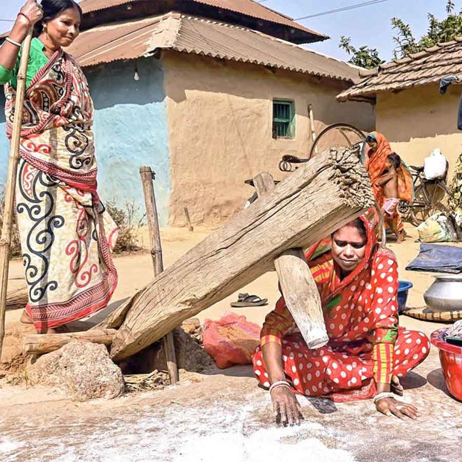 Due to fundamental, widespread changes in modern production systems in agriculture, the negative impact of defective crops on the market is currently increasing