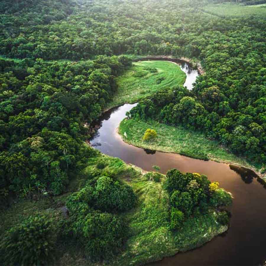 Brazil to create fund to protect Amazon forests