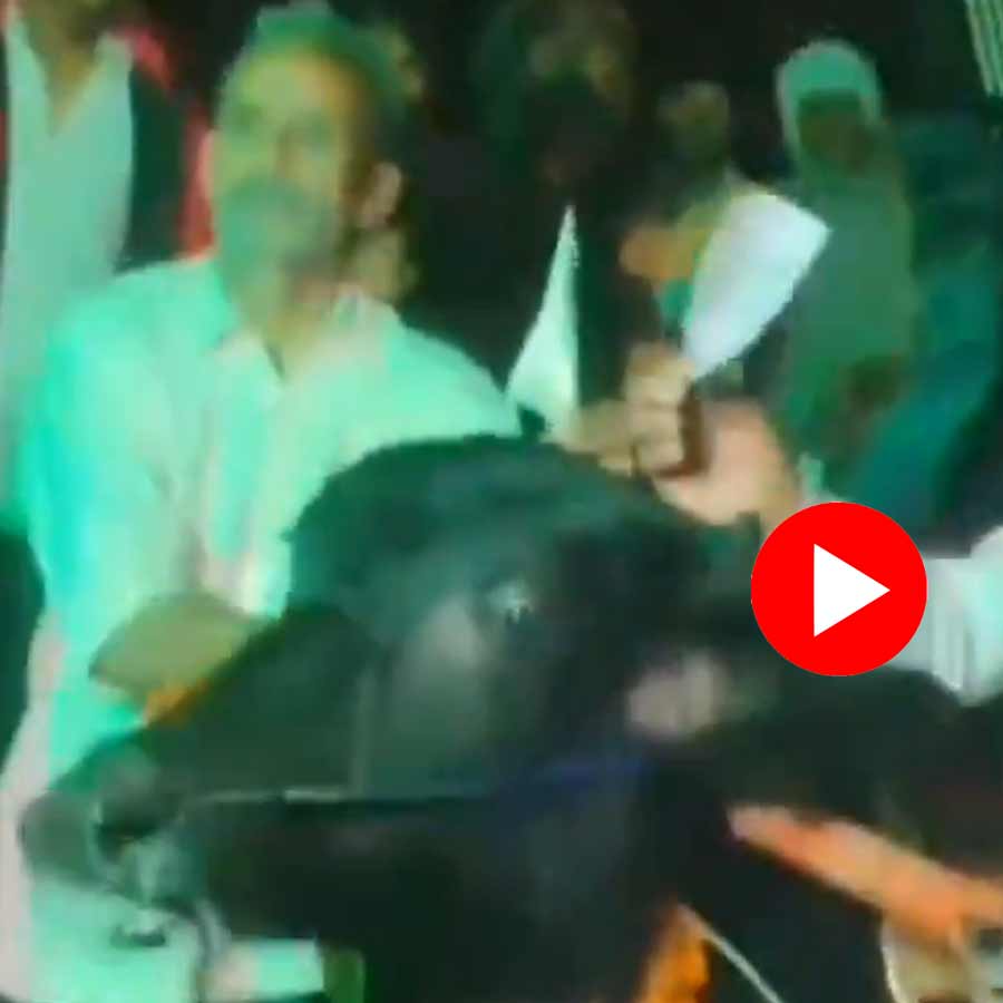 Video of villagers of Uttar Pradesh celebrating birthday of 2 year old buffalo goes viral dgtl