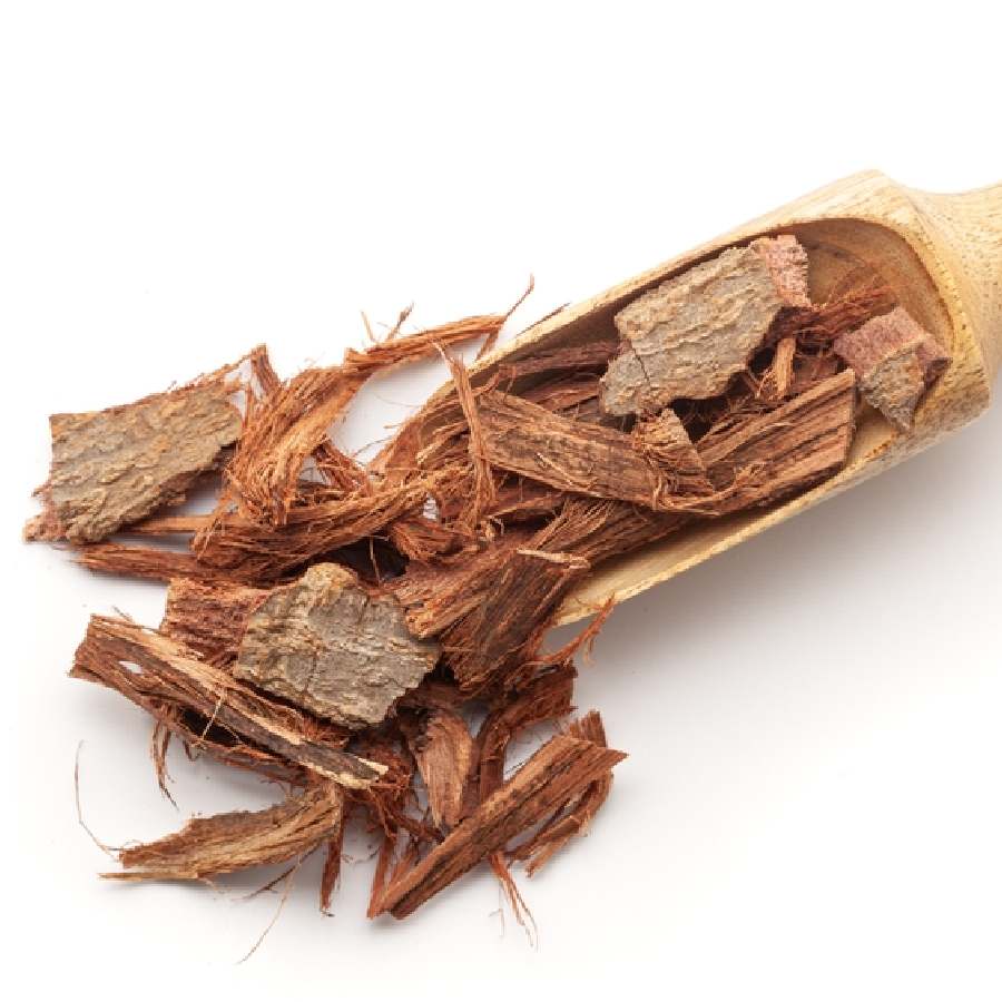 অর্জুন গাছের ছাল হার্টের স্বাস্থ্য ভাল রাখতে ভীষণ উপকারী।