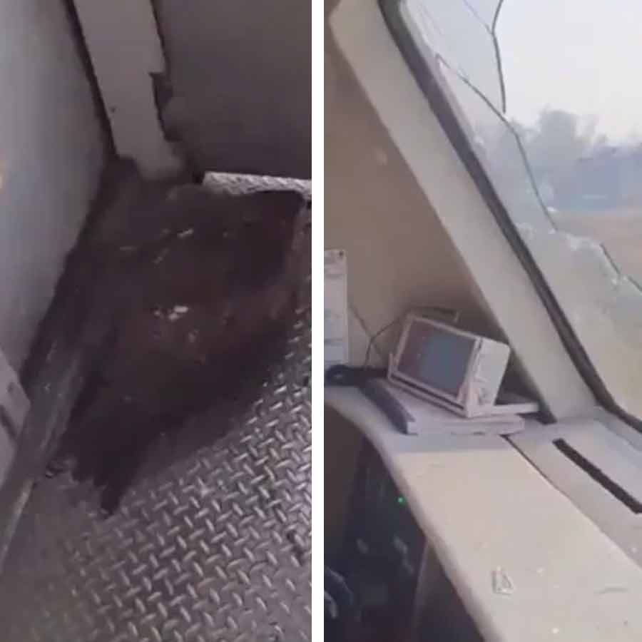 (বাঁ দিকে) চালকের কেবিনে পড়ে ইগল। (ডান দিকে) উইন্ডস্ক্রিন ভেঙে ঢুকে পড়ে ইগলটি। ছবি: সংগৃহীত।