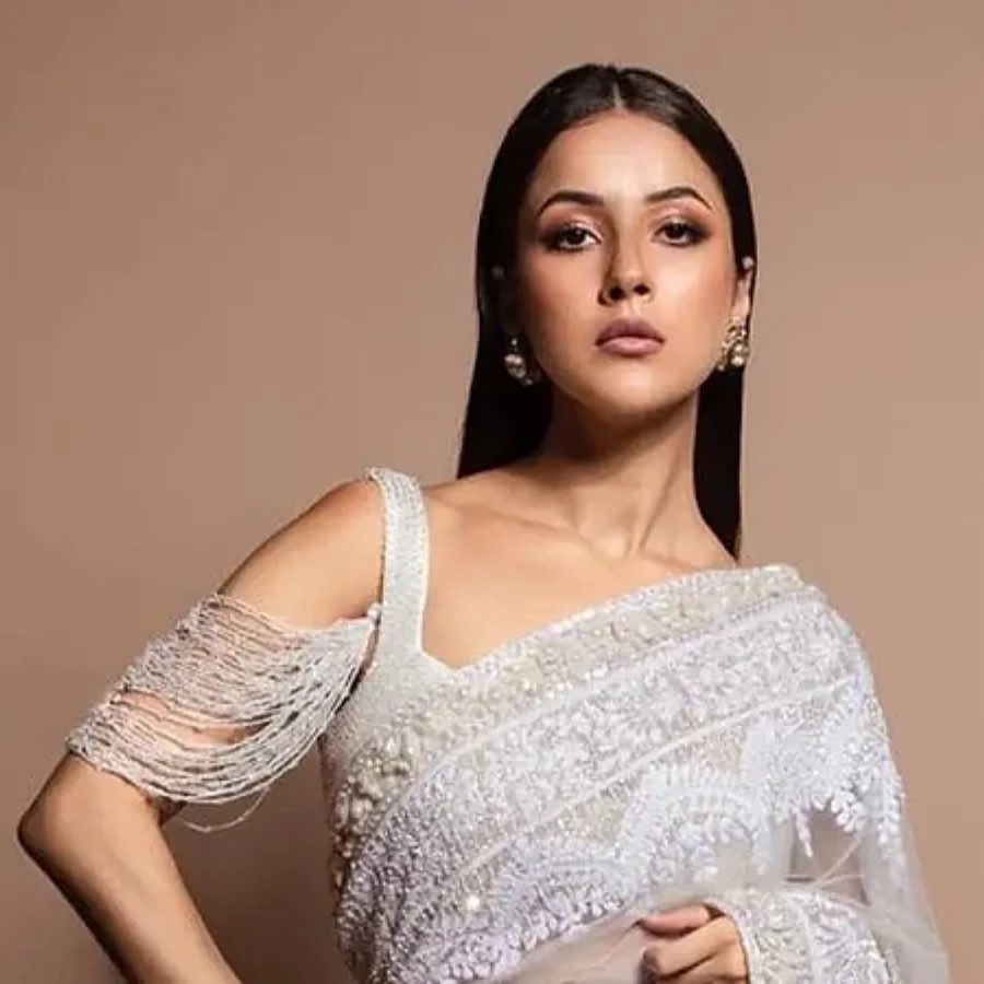 How does Shehnaaz Gill control her weight after massive body transformation dgtl